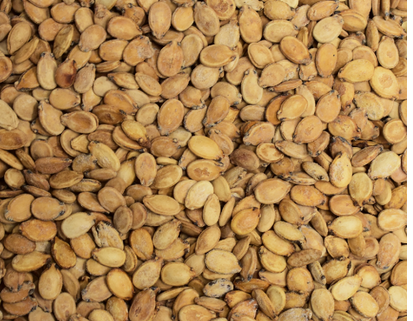 Melon Seeds 1/2 LB